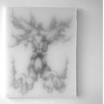 cristiana-palandri_diatomea